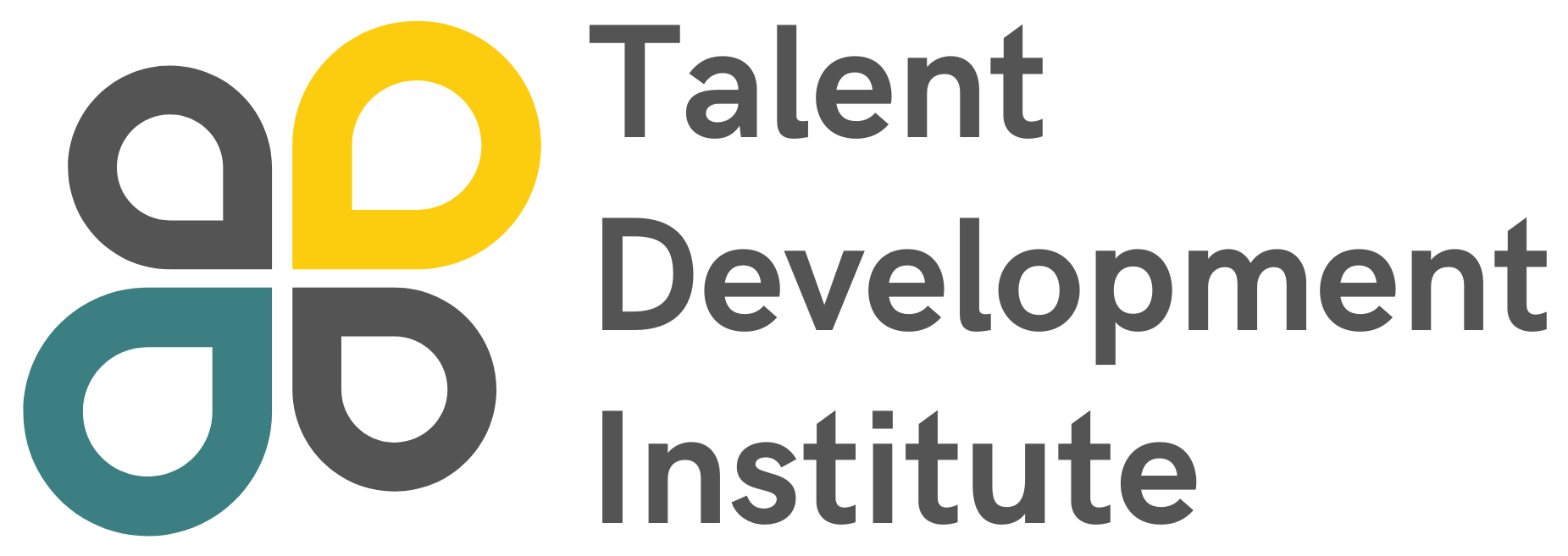 Talent Development Institute