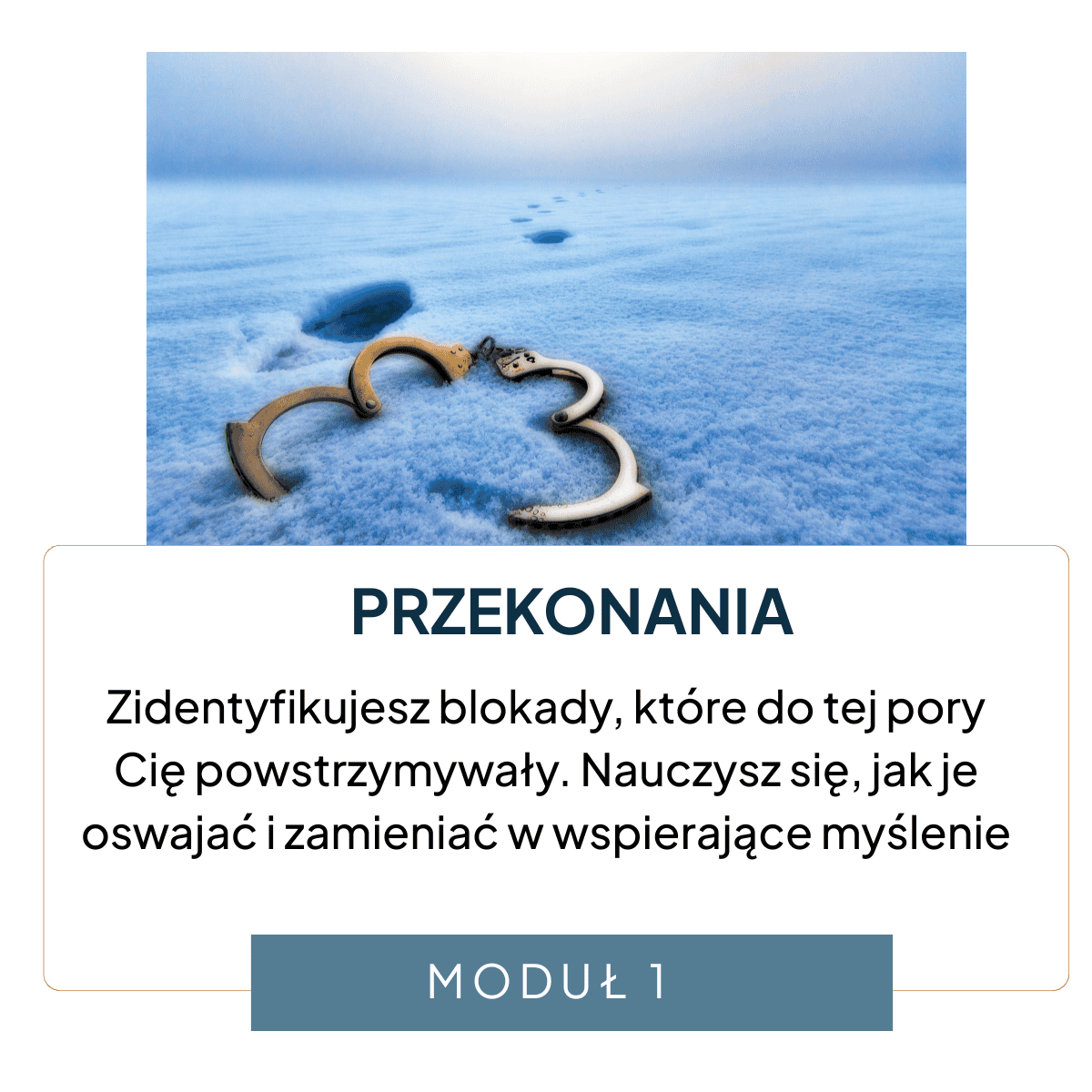 CSR_proces transforemacji zawodowej  (6)