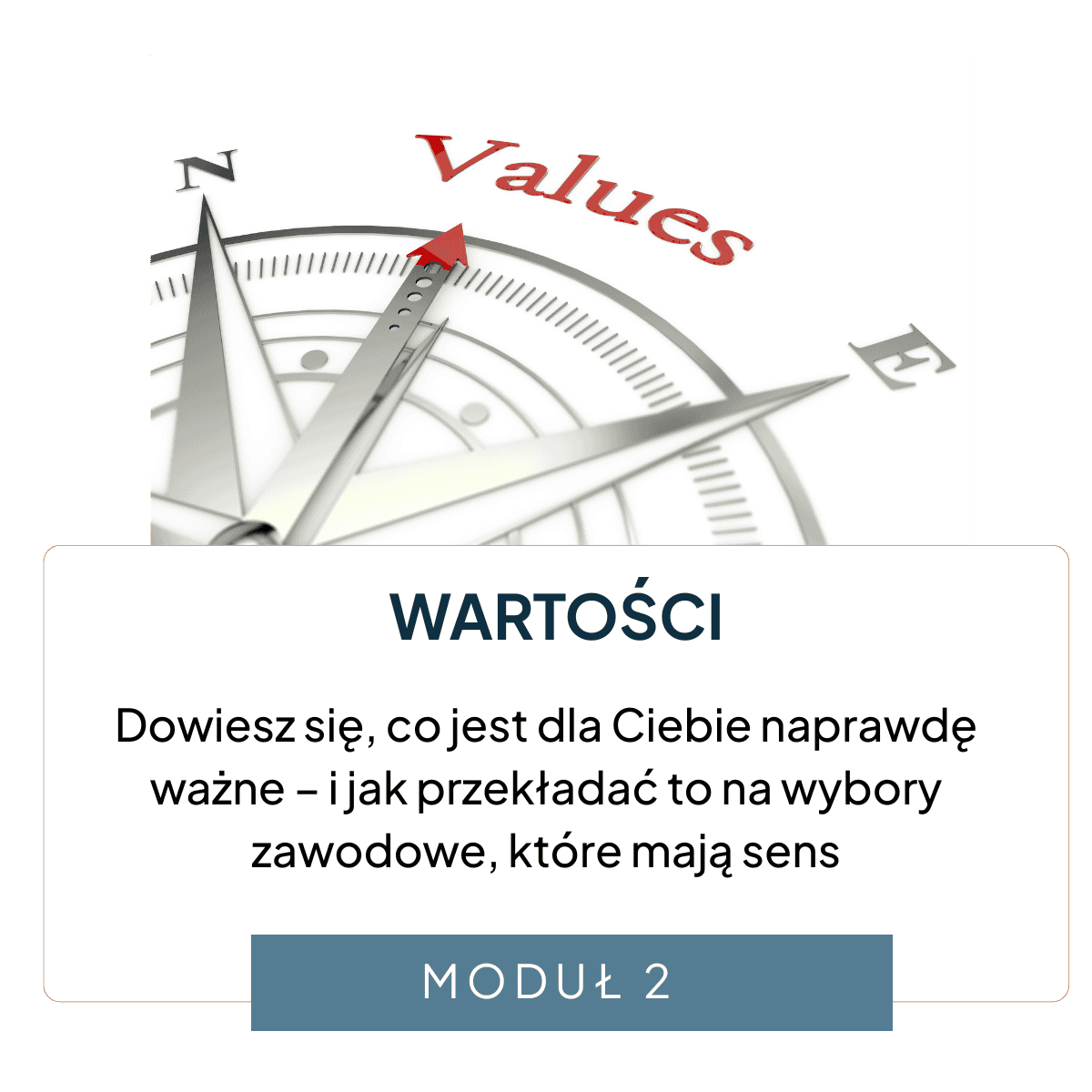 CSR_proces transforemacji zawodowej  (7)