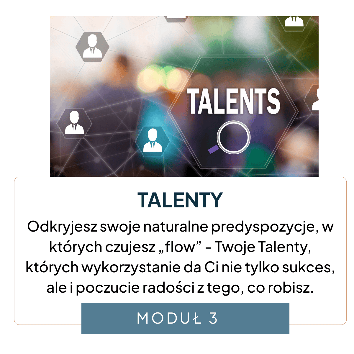 CSR_proces transforemacji zawodowej  (8)