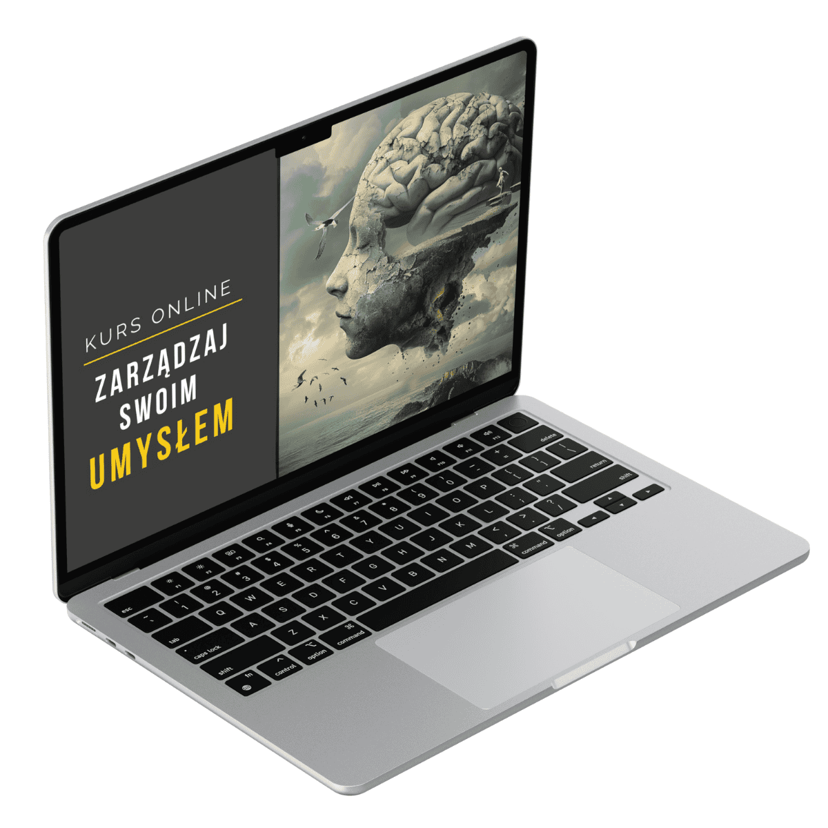 SCP - okładki modułów (50)