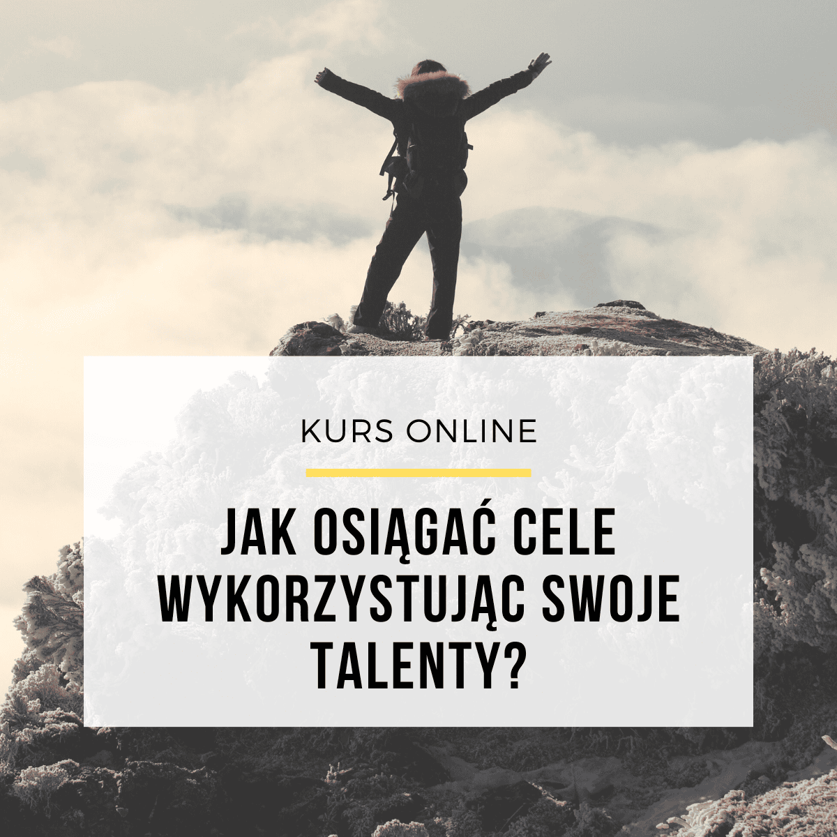 SCP - okładki modułów (60)