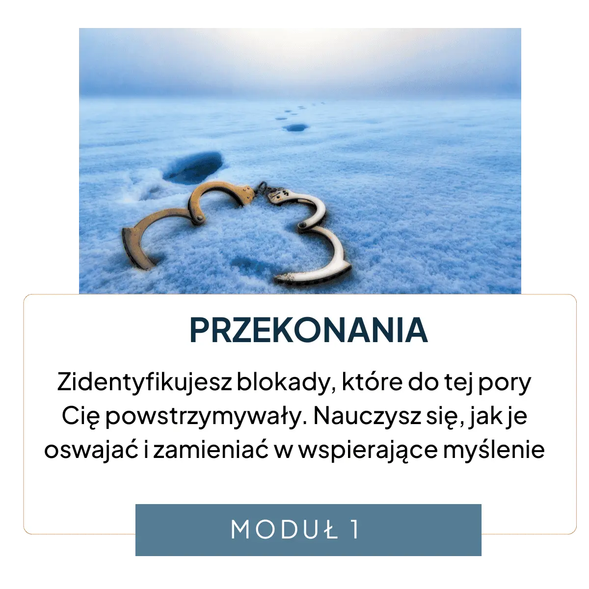 csr-proces-transforemacji-zawodowej-6 (1)