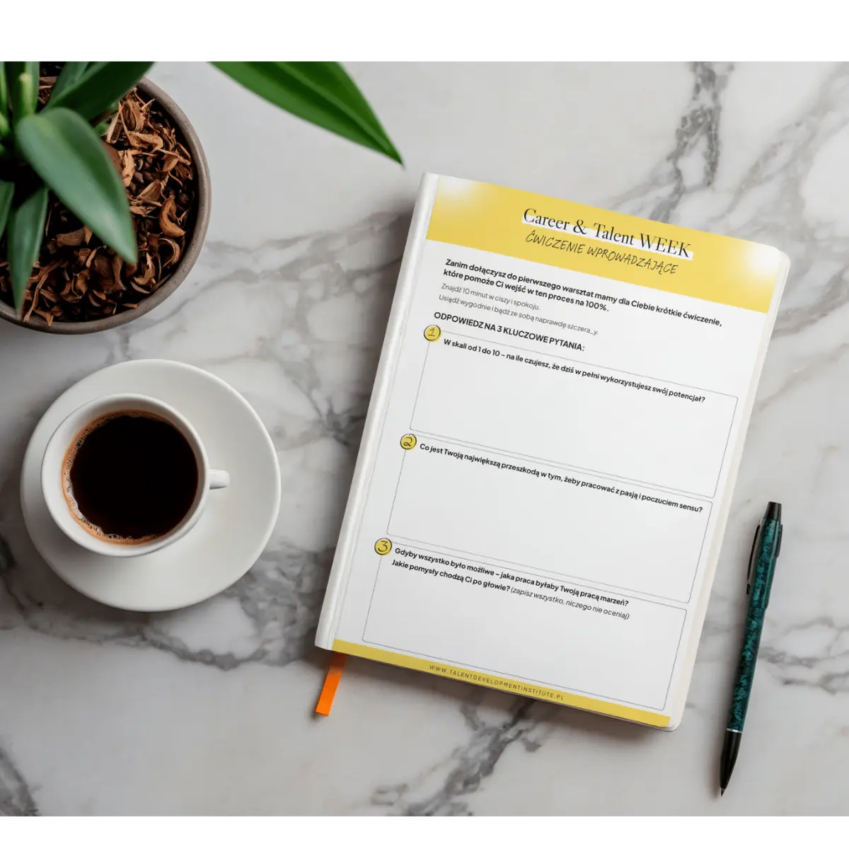 TGS Year Chellenge (13)